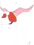 kleurpotloodtekening een landende eend maakt onderdeel uit van het beeld Forês ontwerp voor Groesbeek