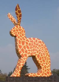 Dit is een giraf, Beerse in België