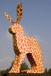 This is a Giraf