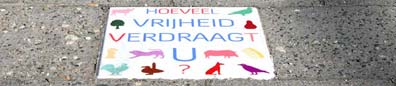 Op vijftien verschillende plekken in Zwolle kunt u op de stoeptegels de vraag lezen Hoeveel vrijheid verdraagt u